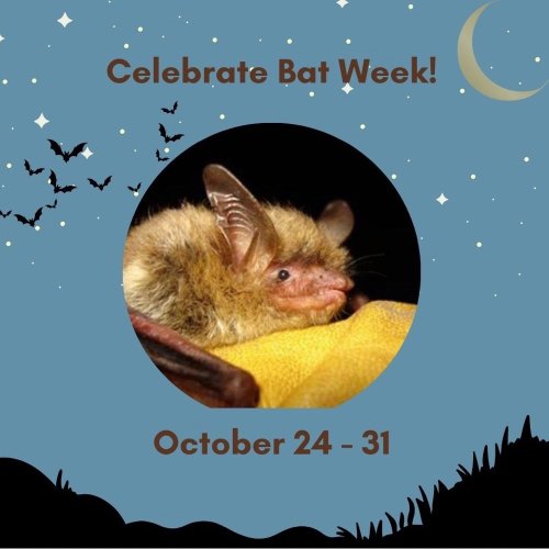 Photo post from philippadunne.