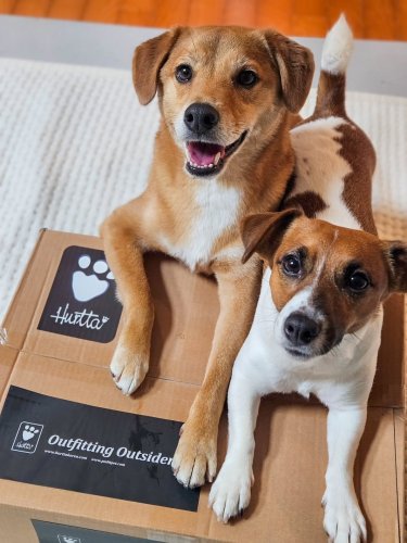 Carousel post from gwang_gwang_2_ne.