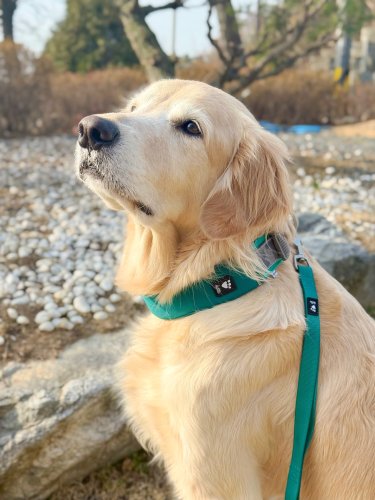 Carousel post from mylovely_bmb.