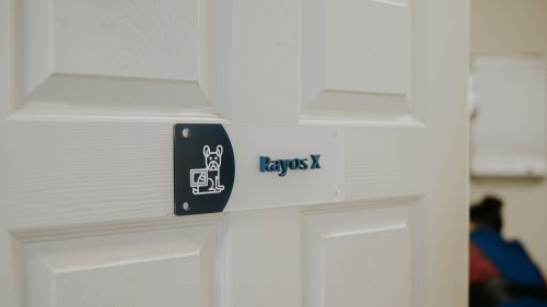 Photo post from medicalpettj.