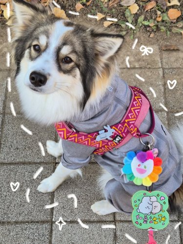 Carousel post from king._.mori.