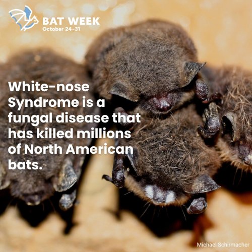 Photo post from butlerswcd.