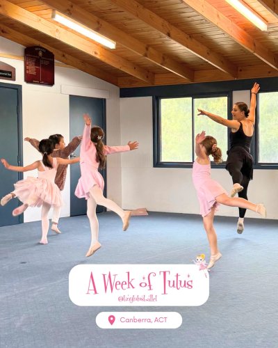 Carousel post from tinytutusballet.