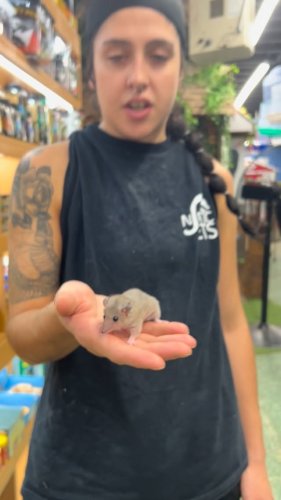 Video post from njexoticpets.