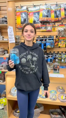 Video post from njexoticpets.