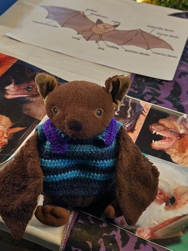 Carousel post from batsy_the_bat.