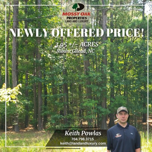 Carousel post from mossy_oak_properties.