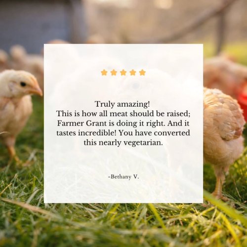 Photo post from hungryhollowfarm.