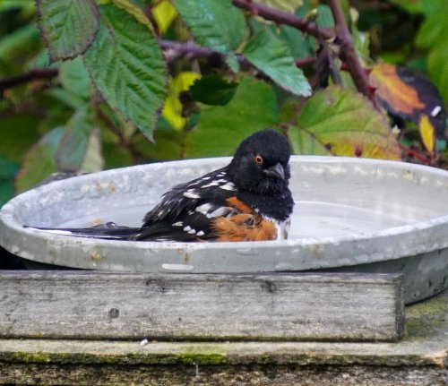 Carousel post from lillalissu.