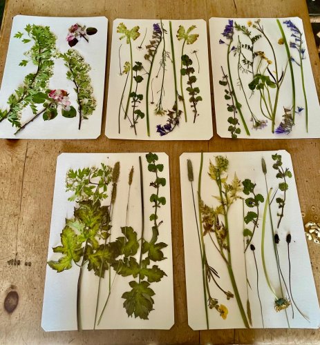 Carousel post from swallowfieldsretreat.