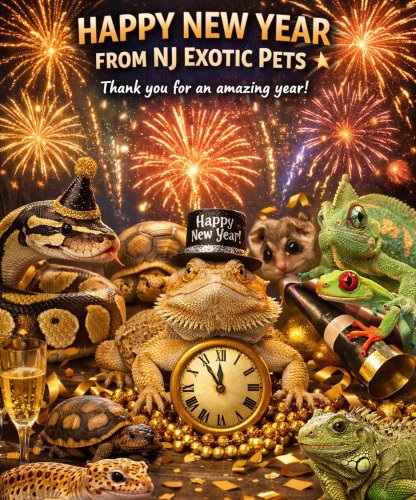Photo post from njexoticpets.