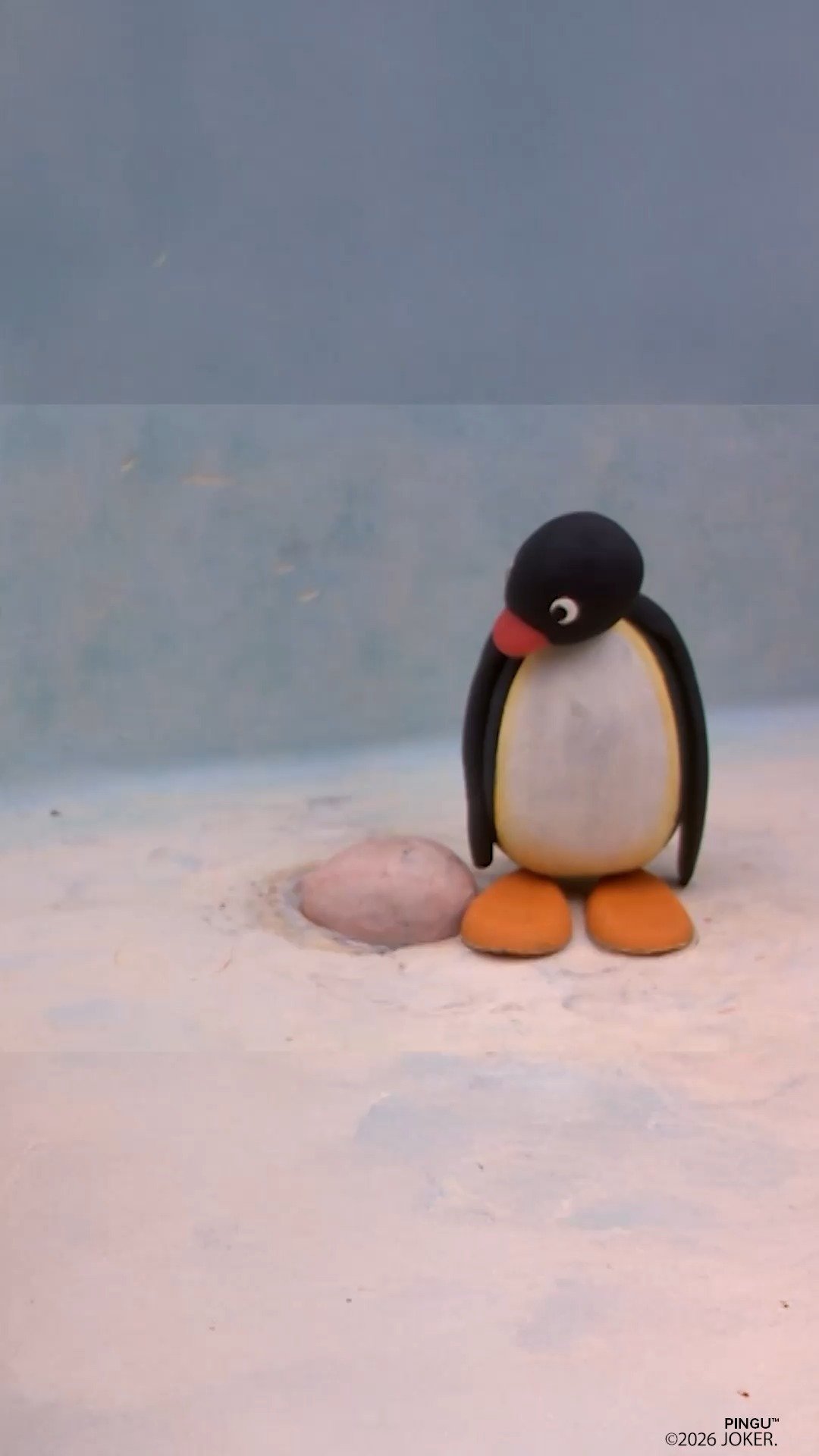 Video post from pingu_jp.