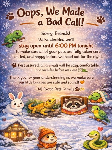 Photo post from njexoticpets.