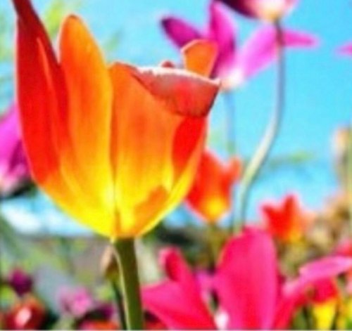 Photo post from gardenhousebrighton.