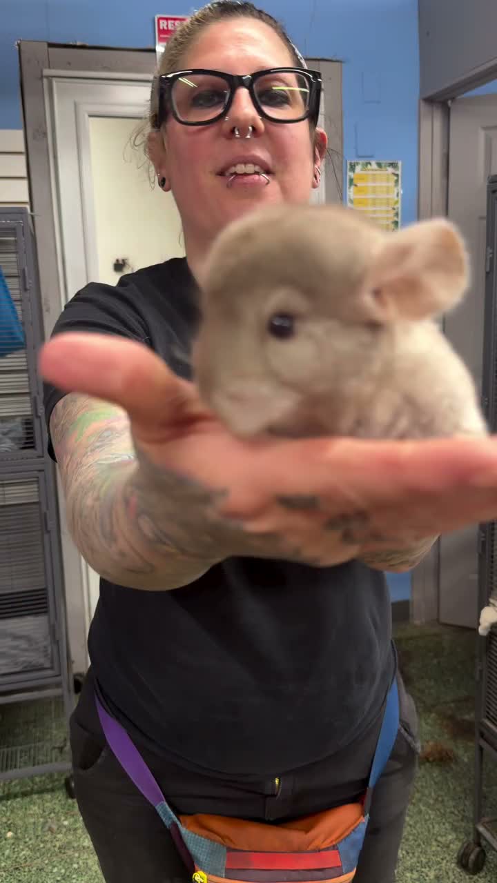 Video post from njexoticpets.