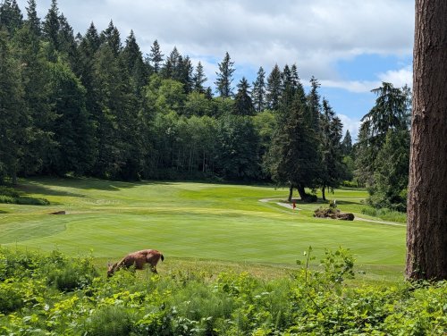 Photo post from theresortatportludlow.