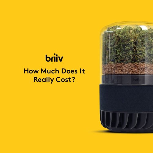 Carousel post from briiv.natural.