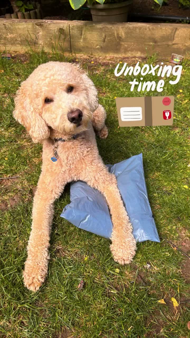 Video post from freya_e_26.