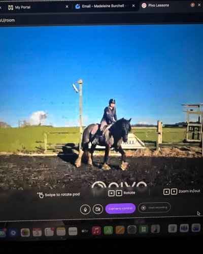 Photo post from mbddressage.