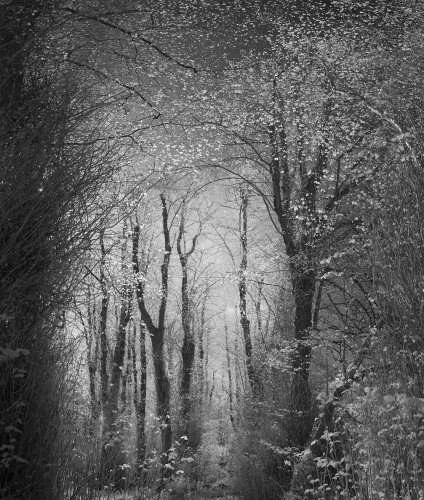Photo post from rpslandscape.