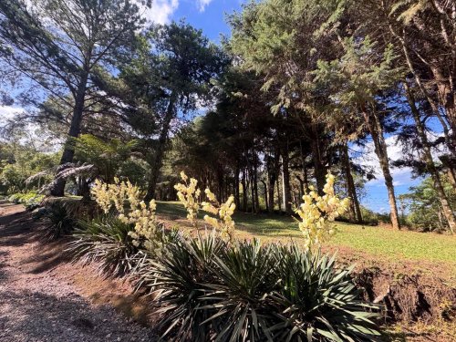 Carousel post from imobiliariammocelin.