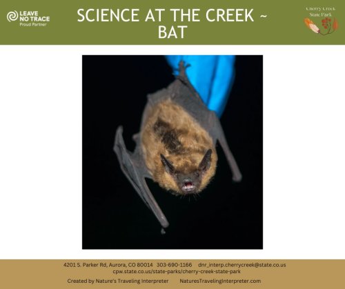 Photo post from cherrycreekcpw.