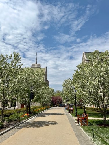 Photo post from bostoncollege.