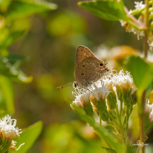 Photo post from texas_pixels.