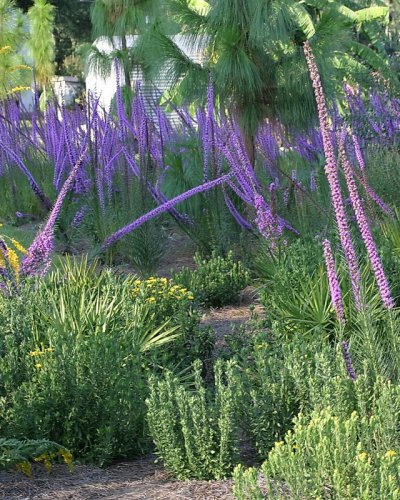 Carousel post from pbcc.fnps.