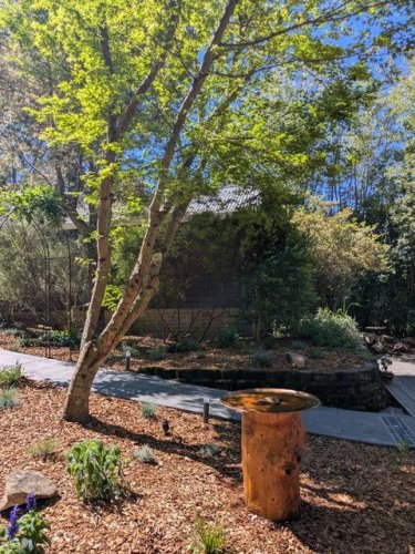 Carousel post from protealandscapes.