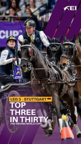 Video post from fei_global.