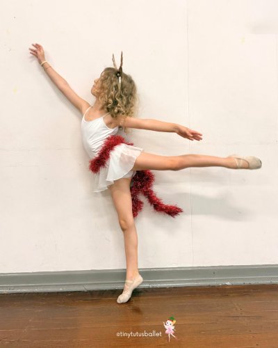 Photo post from tinytutusballet.