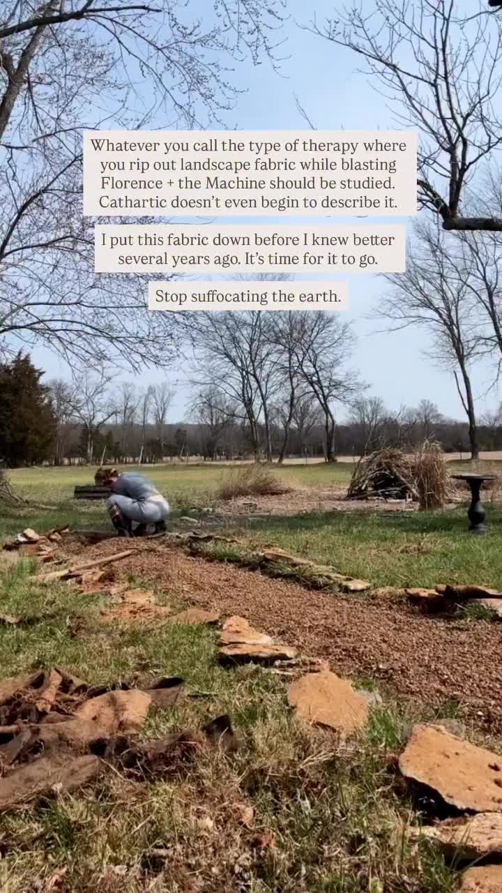 Video post from rachaelbeeartwork.