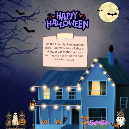 Photo post from filbergheritagelodgeandpark.