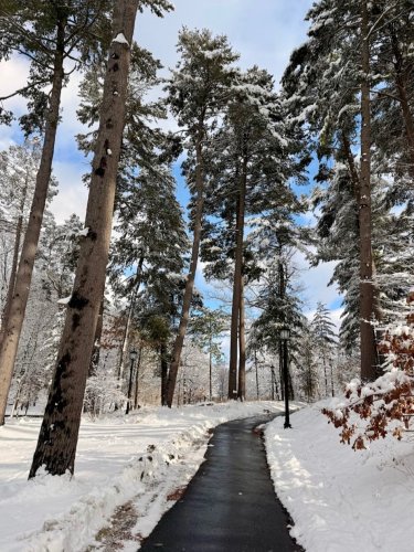 Photo post from bostoncollege.