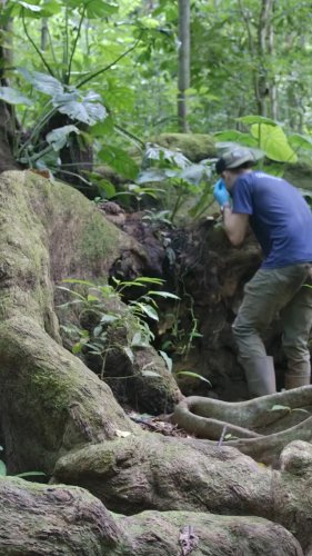 Video post from osaconservation.