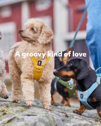 Photo post from hurttakorea.