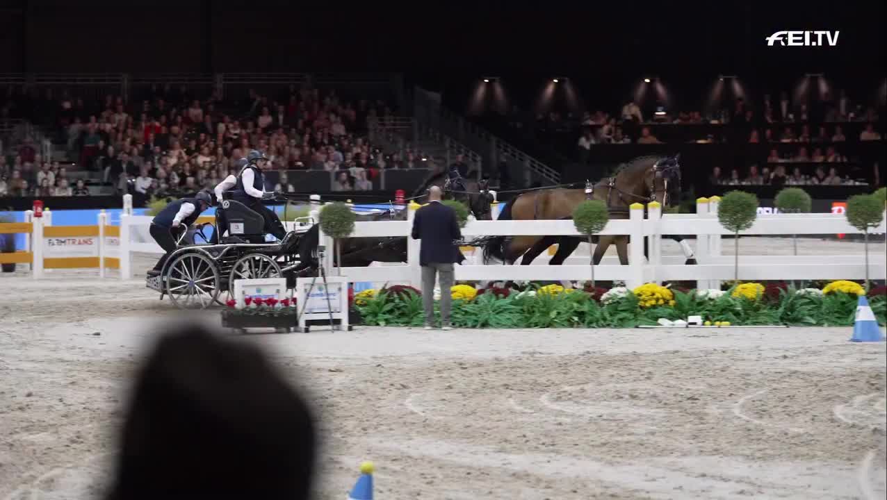 Video post from fei_global.