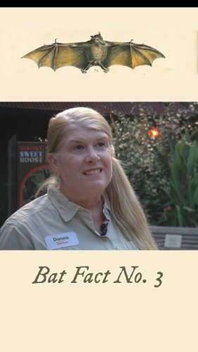 Video post from cinebeth.