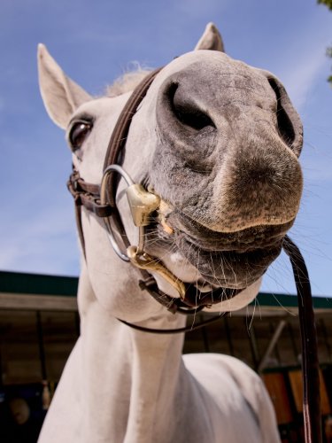 Carousel post from fei_global.