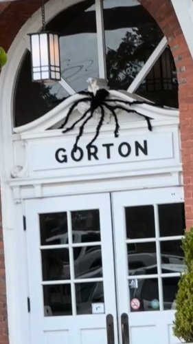 Video post from gortoncenterlf.