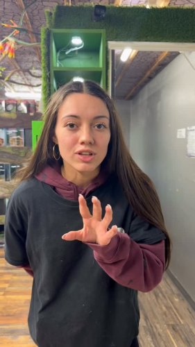 Video post from njexoticpets.