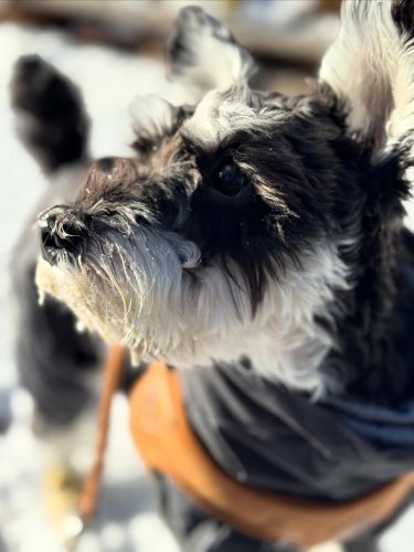 Carousel post from with_bahm.