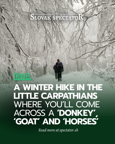 Carousel post from theslovakspectator.