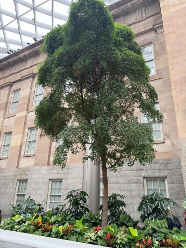 Photo post from gardenhousebrighton.