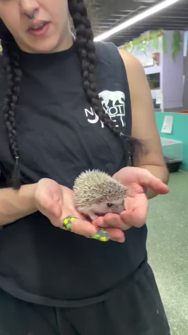 Video post from njexoticpets.