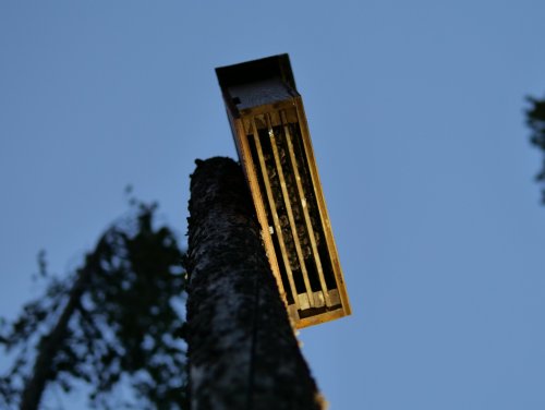 Photo post from thewdfw.