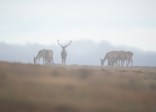 Photo post from cantabriaturismo.