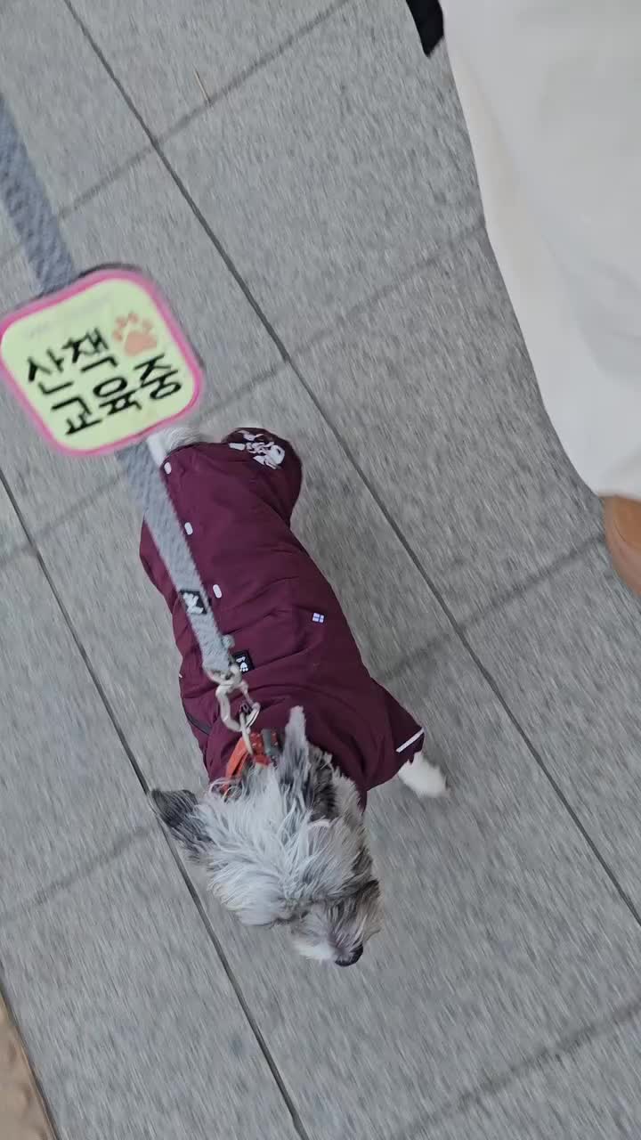 Video post from via.with.aki.