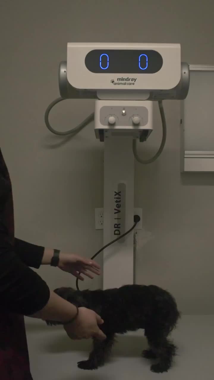 Video post from medicalpettj.